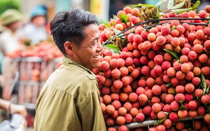 Vải Thiều Lục Ngạn