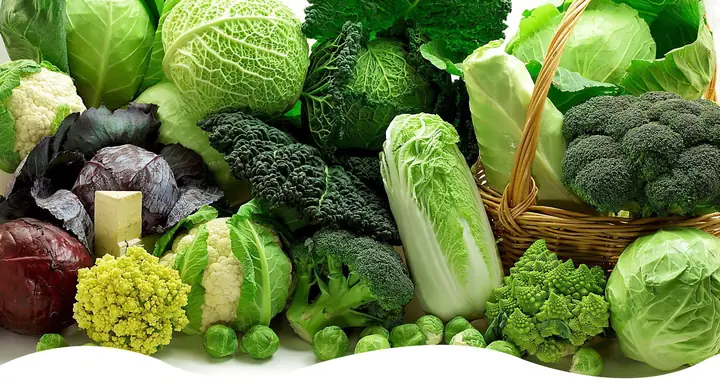 Đặc Sản Đà Lạt - Rau Củ Quả Sạch, Hoa Quả Tươi, Rau Củ Quả Sấy Tại ...