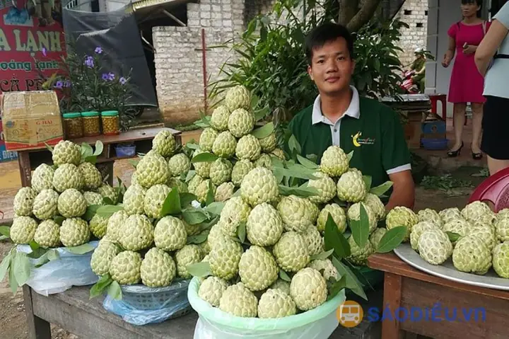 Na Chi Lăng3>