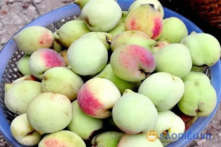Đào Mẫu Sơn3>