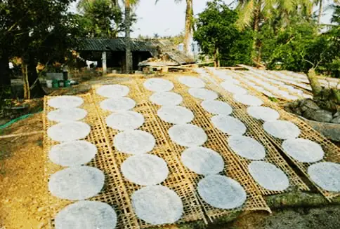 15. Bánh Tráng Đại Lộc 15. Bánh Tráng Đại Lộc