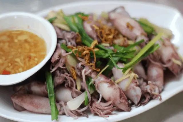 16. Mực Cơm Biển Bãi Ngang 16. Mực Cơm Biển Bãi Ngang