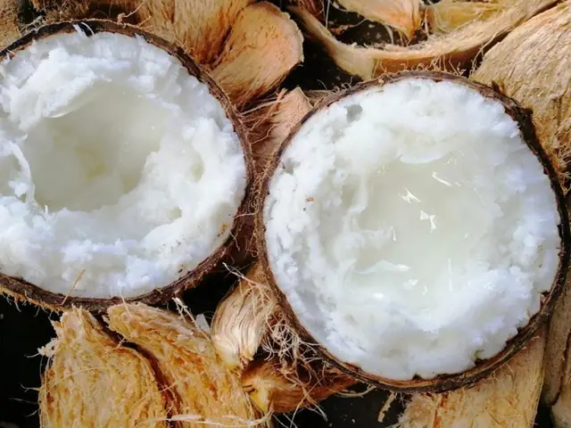 Đặc Sản Trà Vinh Mua Về Làm Quà Ngon "hết Nấc", Có Loại Quả Rụng Đầy Không Ai Nhặt Nay Được Săn Lùng