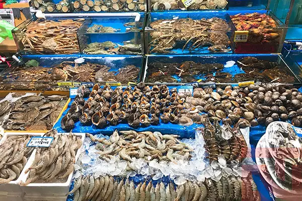 Địa Chỉ Bán Hải Sản Tại Cát Bà