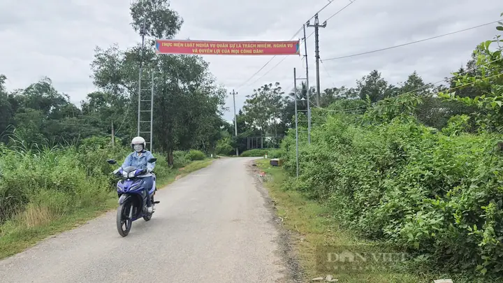 Quảng Nam: Xã Đại Sơn – Đại Lộc “thay Da Đổi Thịt” Nhờ Nông Thôn Mới - Ảnh 5.