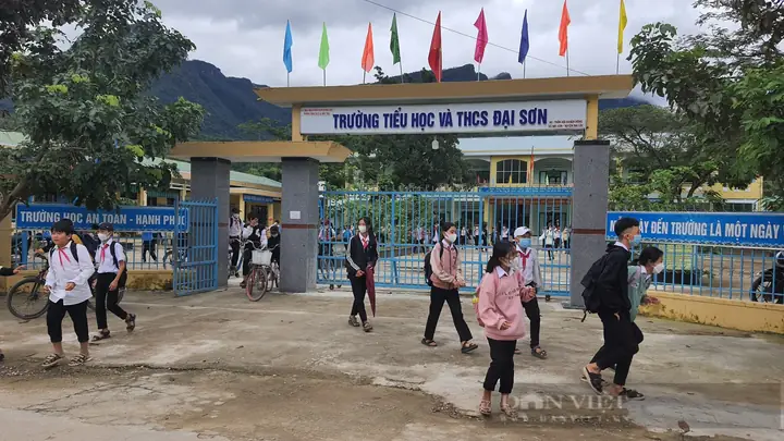 Quảng Nam: Xã Đại Sơn – Đại Lộc “thay Da Đổi Thịt” Nhờ Nông Thôn Mới - Ảnh 1. Quảng Nam: Xã Đại Sơn – Đại Lộc “thay Da Đổi Thịt” Nhờ Nông Thôn Mới - Ảnh 1.