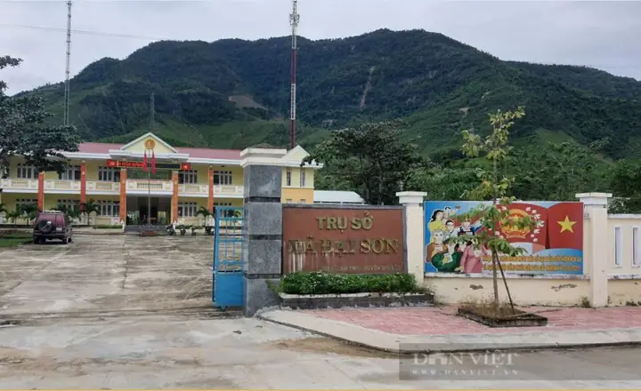Quảng Nam: Xã Đại Sơn – Đại Lộc “thay Da Đổi Thịt” Nhờ Nông Thôn Mới - Ảnh 6. Quảng Nam: Xã Đại Sơn – Đại Lộc “thay Da Đổi Thịt” Nhờ Nông Thôn Mới - Ảnh 6.