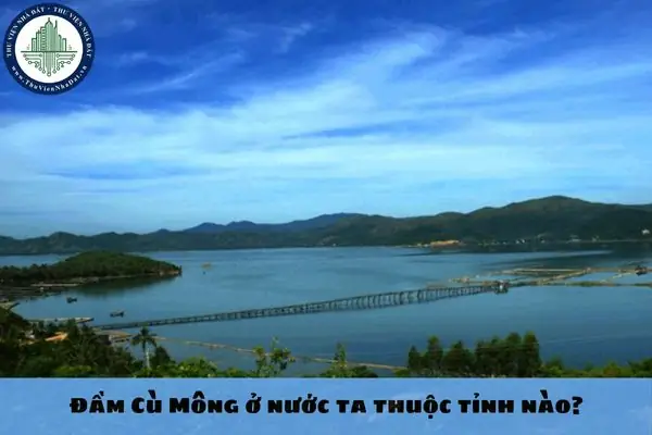 Đầm Cù Mông Ở Nước Ta Thuộc Tỉnh Nào?
