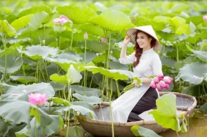 Top 12 Đầm Sen Đẹp Nhất Việt Nam Không Nên Bỏ Lỡ
