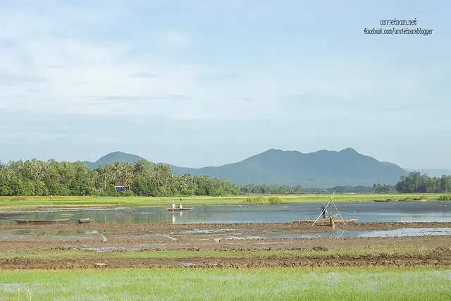 Đầm Trà Ổ Phù Mỹ Bình Định