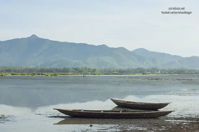 Đầm Trà Ổ Phù Mỹ Bình Định