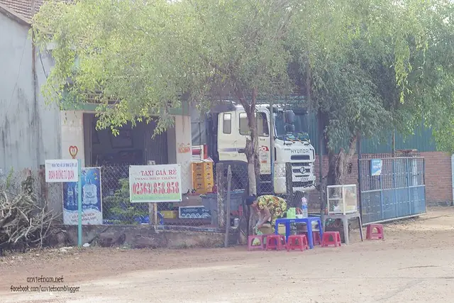 Đầm Trà Ổ Phù Mỹ Bình Định