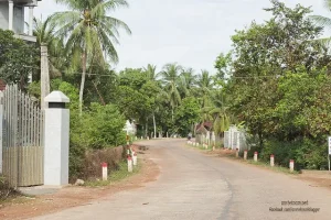 Đầm Trà Ổ Phù Mỹ Bình Định