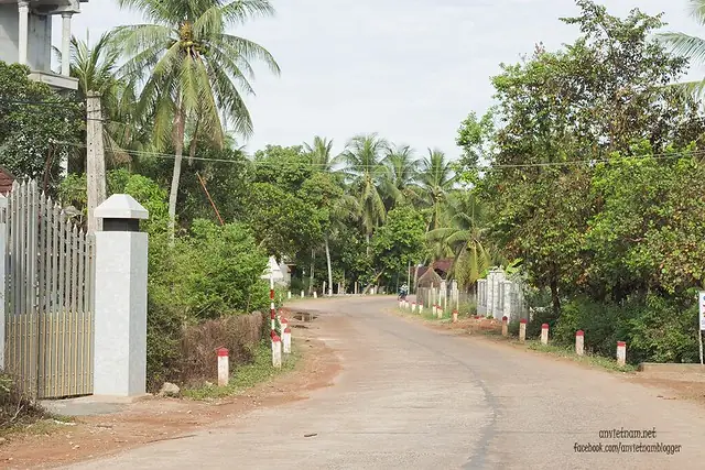 Đầm Trà Ổ Phù Mỹ Bình Định