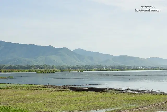 Đầm Trà Ổ Phù Mỹ Bình Định