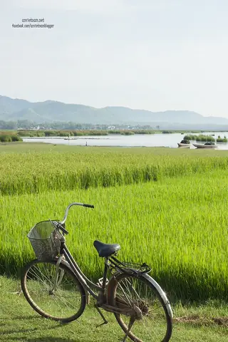 Đầm Trà Ổ Phù Mỹ Bình Định