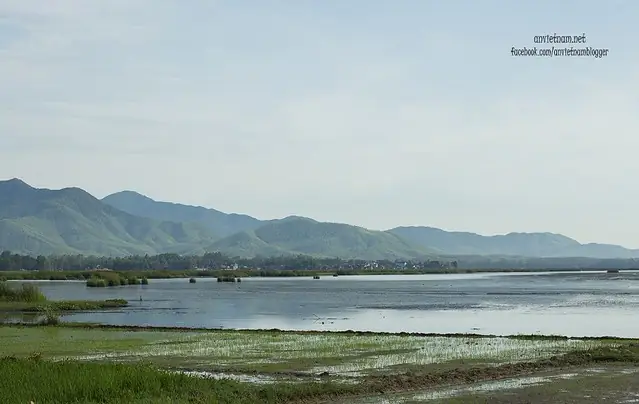 Đầm Trà Ổ Phù Mỹ Bình Định