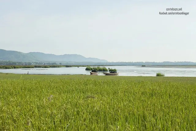 Đầm Trà Ổ Phù Mỹ Bình Định