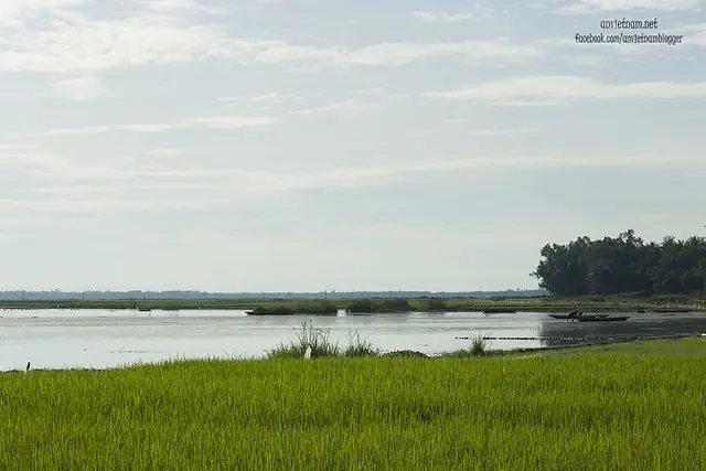 Đầm Trà Ổ Phù Mỹ Bình Định