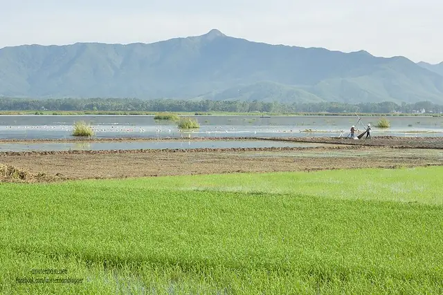 Đầm Trà Ổ Phù Mỹ Bình Định