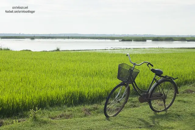 Đầm Trà Ổ Phù Mỹ Bình Định