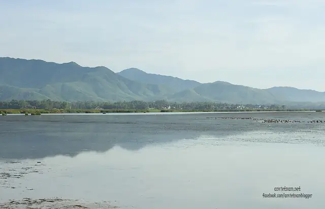 Đầm Trà Ổ Phù Mỹ Bình Định