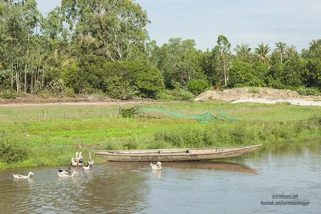 Đầm Trà Ổ Phù Mỹ Bình Định