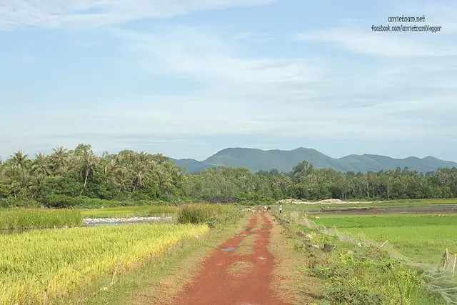 Đầm Trà Ổ Phù Mỹ Bình Định