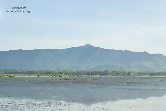 Đầm Trà Ổ Phù Mỹ Bình Định