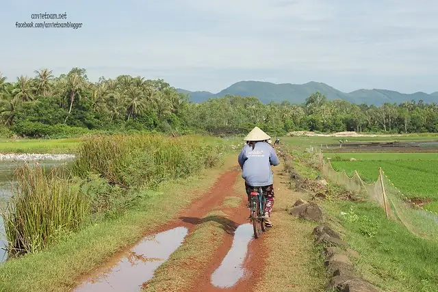 Đầm Trà Ổ Phù Mỹ Bình Định