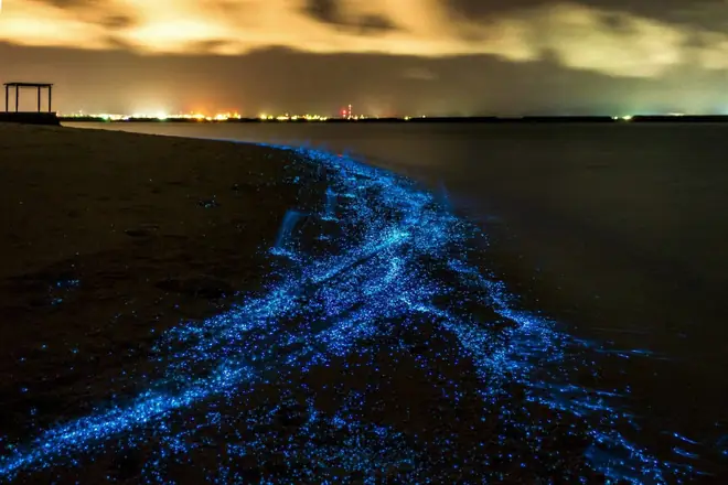 Bãi Biển “ngàn Sao” Maldives