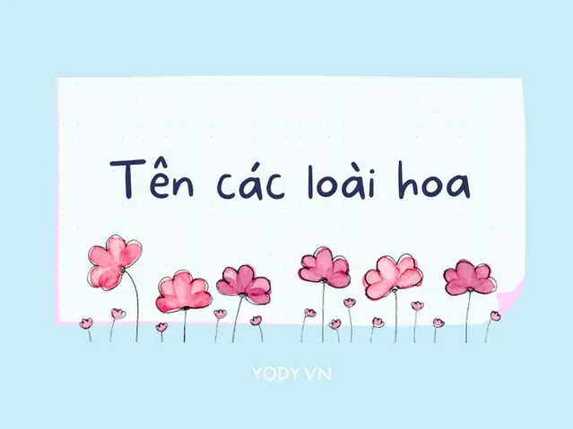 [top 20] Bạn Đã Biết Ý Nghĩa Và Tên Các Loài Hoa Phổ Biến Chưa ...