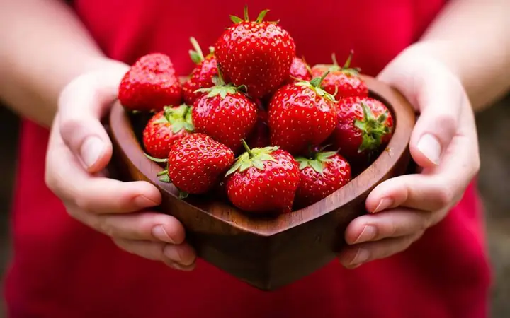 Giá Dâu Tây Đà Lạt Bao Nhiêu 1 Kg? Mua Ở Đâu?