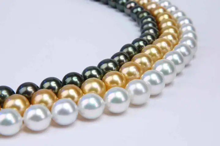 Top 3 Cơ Sở Ngọc Trai Phú Quốc Chất Lượng Top 3 Cơ Sở Ngọc Trai Phú Quốc Chất Lượng