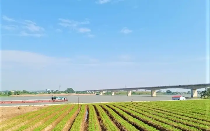 Bến Bình Than, Nơi Trần Quốc Toản Bóp Nát Quả Cam, Nay Là Miền ... Đền thờ Trần Quốc Toản ở đâu điểm đến văn hóa lịch sử mới