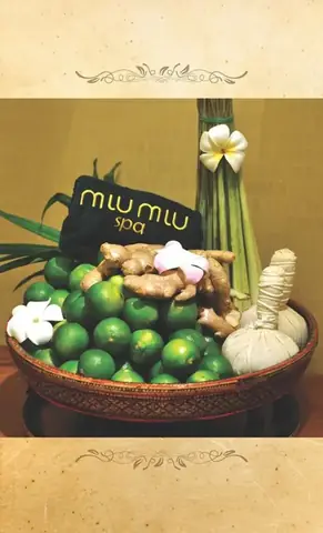 Miu Miu Spa Miu Miu Spa