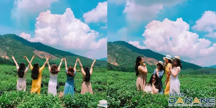 Đồi Chè Đông Giang Đồi Chè Đông Giang