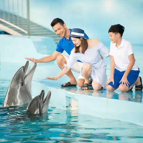 Bãi Biển Nhân Tạo Baara Land Bãi Biển Nhân Tạo Baara Land