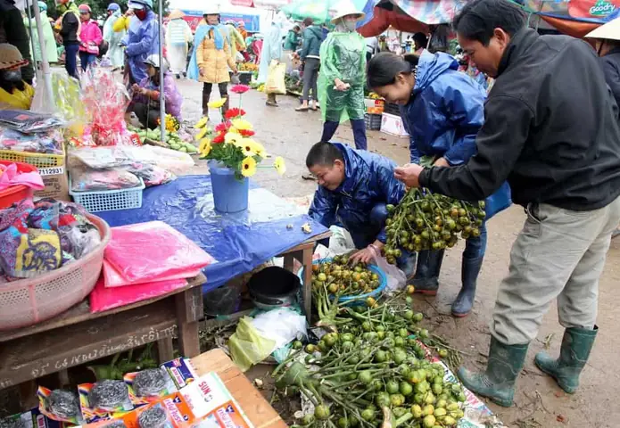 Khám Phá 15 Địa Điểm Du Lịch Quảng Trị: Vùng Đất Lịch Sử Và Thiên Nhiên Hùng Vĩ