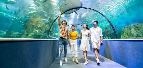 12+ Địa Điểm Đi Chơi Hà Nội Cho Sinh Viên Hot Nhất 2026 12+ Địa Điểm Đi Chơi Hà Nội Cho Sinh Viên Hot Nhất 2026