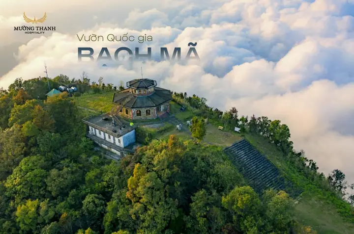15. Vườn Quốc Gia Bạch Mã