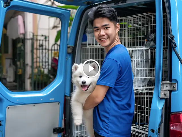 Dịch Vụ Vận Chuyển Thú Cưng Đưa Đón Tại Nhà | Pet Mart Cửa ...