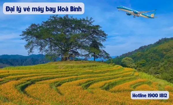 Đại Lý Vé Máy Bay Tại Hòa Bình - Phòng Bán Vé Đại Lý Vé Máy Bay Tại Hòa Bình - Phòng Bán Vé