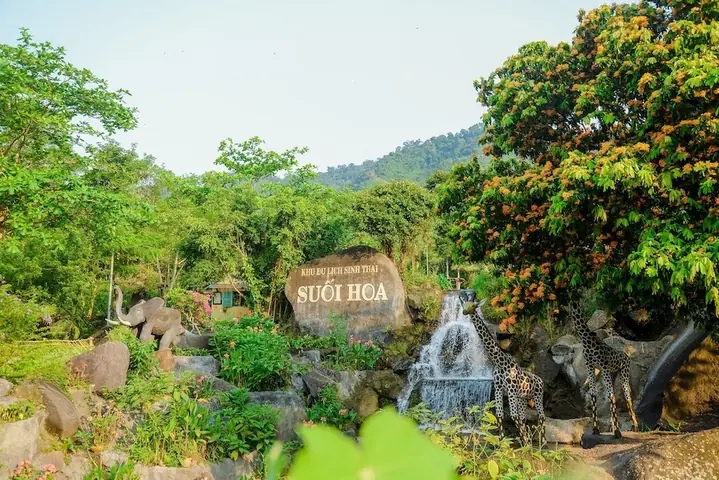 Ngắm Suối Hoa Trên Đường Đi Đỉnh Quế
