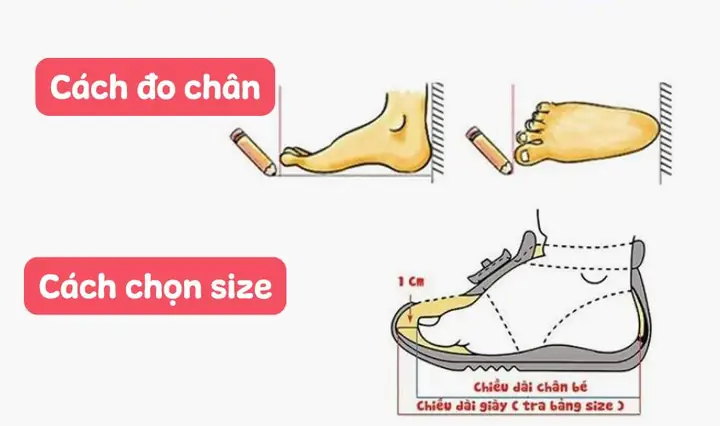 Giải Mã: Size Giày 20 Là Bao Nhiêu Cm Chuẩn Xác Nhất - Giày Hà Anh
