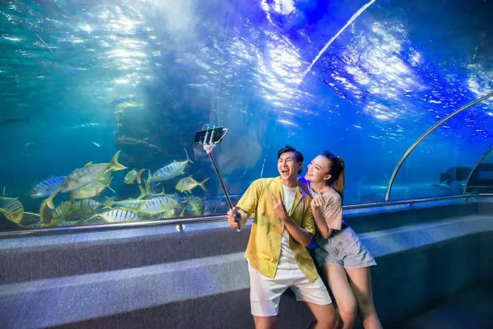 Nha Trang – Điểm Du Lịch 2 Ngày 1 Đêm Cho Cặp Đôi Sống Ảo “cực Chill”