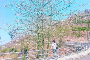 Tour Du Lịch Bình Phước Đi Vũng Tàu 2 Ngày 1 Đêm