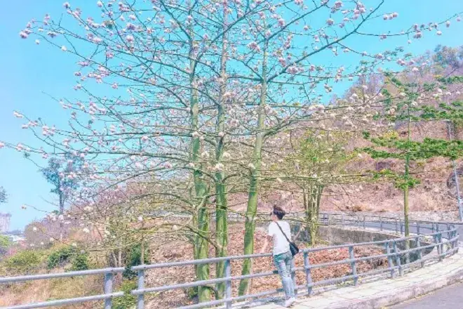 Tour Du Lịch Bình Phước Đi Vũng Tàu 2 Ngày 1 Đêm
