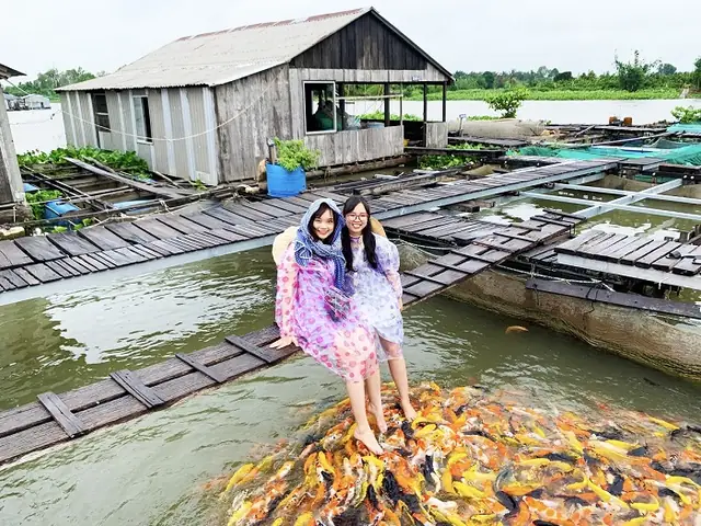 Du Lịch Cồn Sơn Cần Thơ: Hướng Dẫn Di Chuyển - Ăn Uống - Vui ...