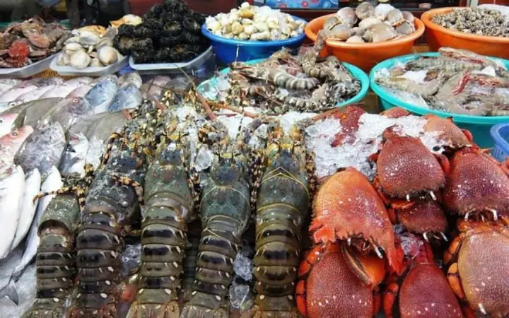 Ngày 3: Mua Sắm Đặc Sản & Trở Về